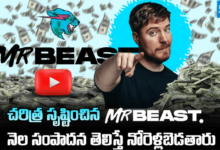 Mr Beast YouTube Earnings