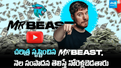 Mr Beast YouTube Earnings