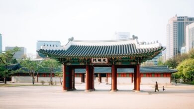 loter a la anguila explained