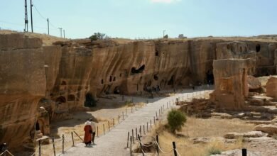 lottery eel complete guide