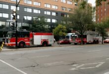 fraud protection hotline numbers