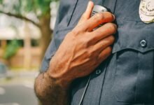 fraud protection hotline numbers