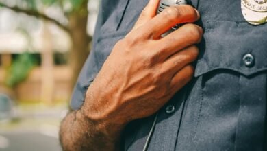 fraud protection hotline numbers