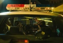 security hotline investigation numbers