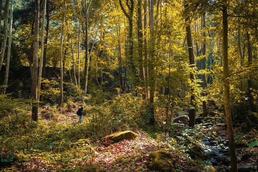 travel hacks discovery hub